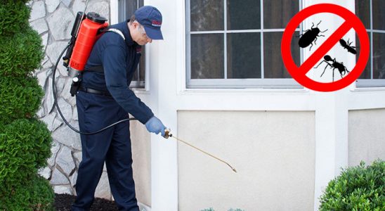 Samandağ Dezenfeksiyon böcek ilaçlama ve haşere kontrolü — ilaclama-tr.com